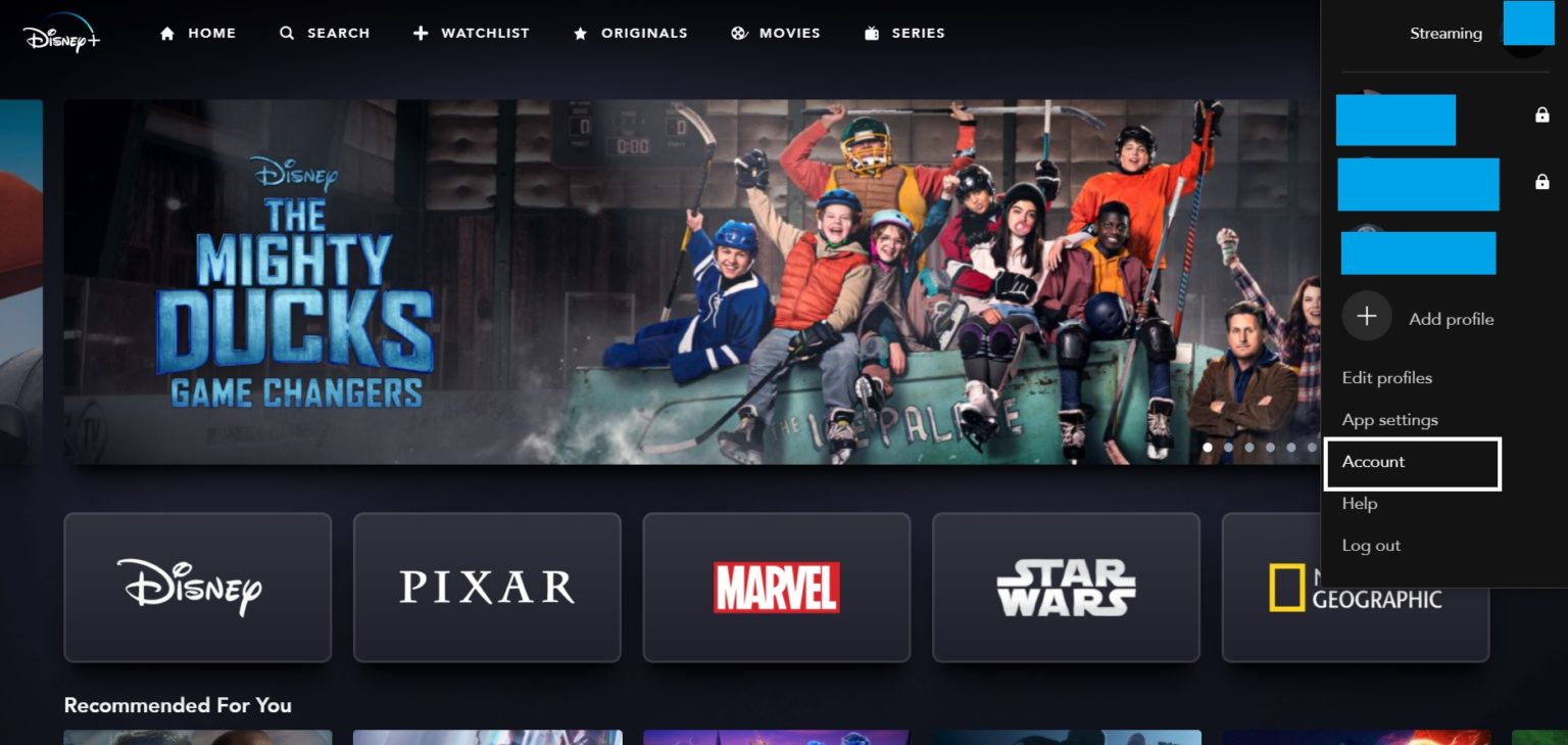 Disney Plus Free Trial Can I Watch For Free in Japan In 2023 (Brief Guide)